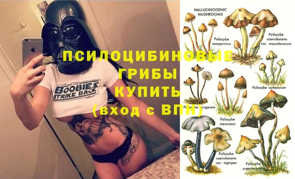 бошки Красноперекопск