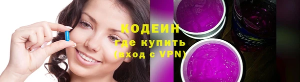 прущие грибы Корсаков