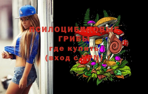 МДПВ Лагань
