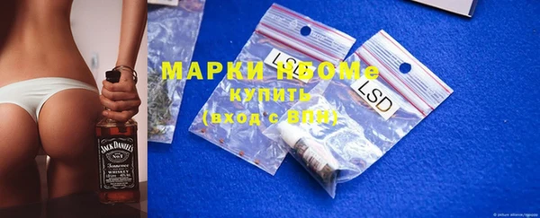 гашик Корсаков