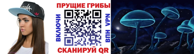 кракен как зайти  Малоярославец  Псилоцибиновые грибы Psilocybine cubensis 
