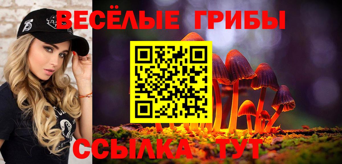 где купить наркоту  Псилоцибиновые грибы Magic Shrooms  Вход с VPN  Псилоцибиновые грибы Cubensis  Малоярославец 