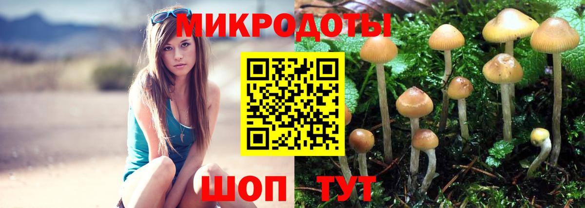 Галлюциногенные грибы MAGIC MUSHROOMS Малоярославец
